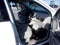 2020 Chevrolet Silverado 2500 HD Crew Cab Standard Box 4-Wheel Drive Work Truck
